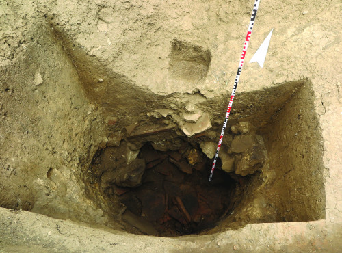 Fig. 2. Sp II, groapa Cv 44.
